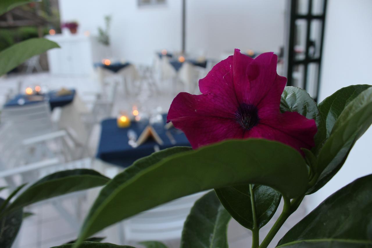 Sant'Angelo  Hotel Villa Bina מראה חיצוני תמונה